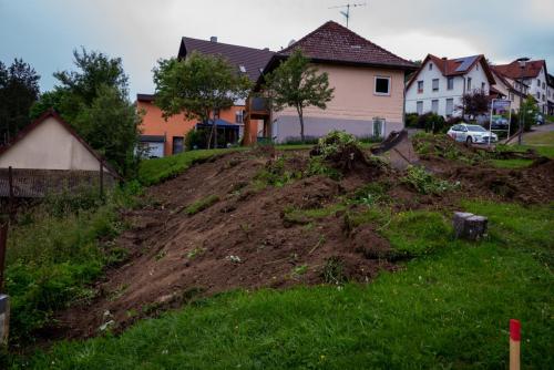 0012-108710-2021.07.24-08 49 27-NIKON-D750