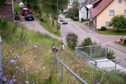 0058-108756-2021.07.24-14 03 56-NIKON-D750