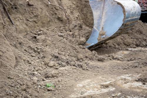 0093-108791-2021.07.24-15 40 57-NIKON-D750