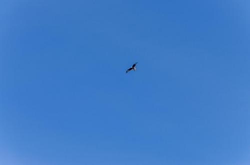 0082-109914-2021.10.02-10 52 38-NIKON-D5100