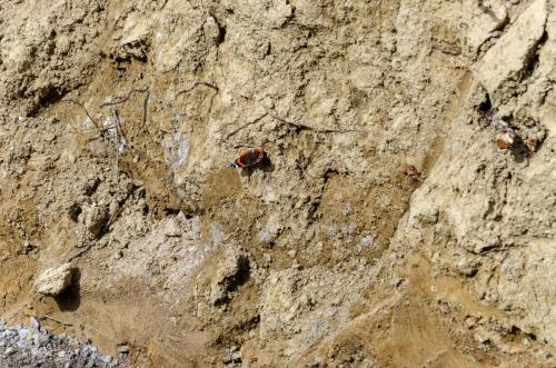 0113-109945-2021.10.02-13 41 10-NIKON-D5100