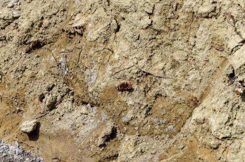 0114-109946-2021.10.02-13 41 25-NIKON-D5100