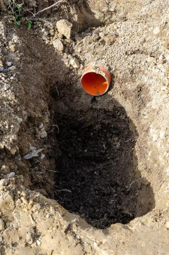 0131-109963-2021.10.02-15 52 52-NIKON-D5100