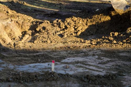 0034-111755-2021.11.09-16 36 30-NIKON-D5100