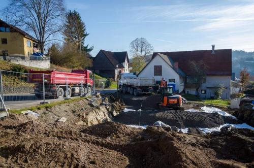 0038-111813-2021.11.11-10 38 33-NIKON-D5100