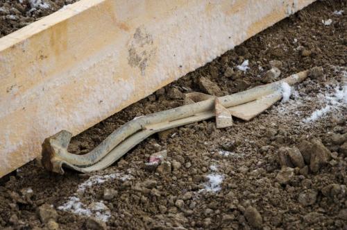 0014-112003-2021.11.29-10 10 39-NIKON-D5100