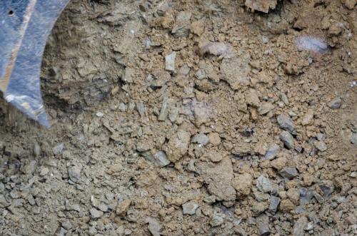 0006-112189-2021.11.30-10 30 41-NIKON-D5100