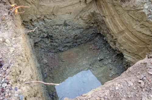 0008-112191-2021.12.02-09 29 04-NIKON-D5100