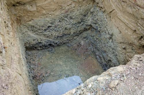 0009-112192-2021.12.02-09 29 21-NIKON-D5100