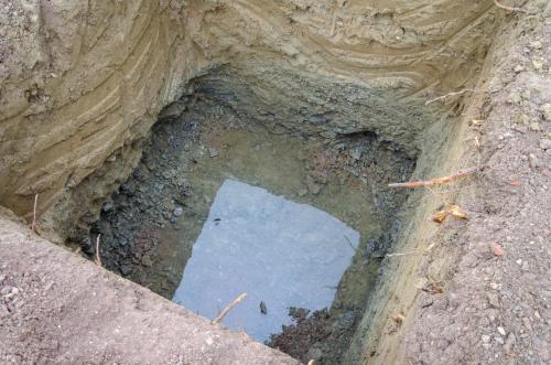 0010-112193-2021.12.02-09 29 58-NIKON-D5100