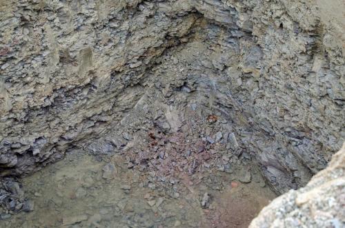 0011-112194-2021.12.02-09 30 31-NIKON-D5100