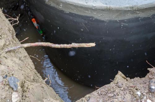 0033-112216-2021.12.02-13 48 05-NIKON-D5100