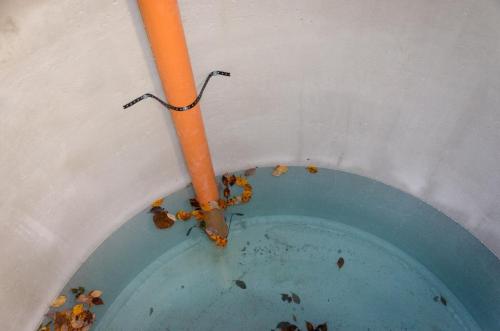 0052-112235-2021.12.03-10 32 27-NIKON-D5100