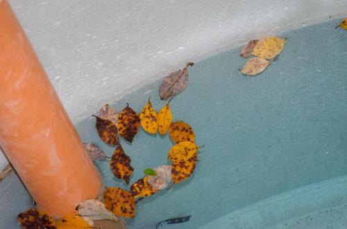 0053-112236-2021.12.03-10 32 37-NIKON-D5100