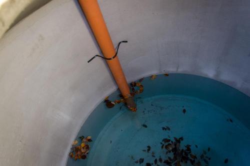 0055-112238-2021.12.03-10 32 51-NIKON-D5100