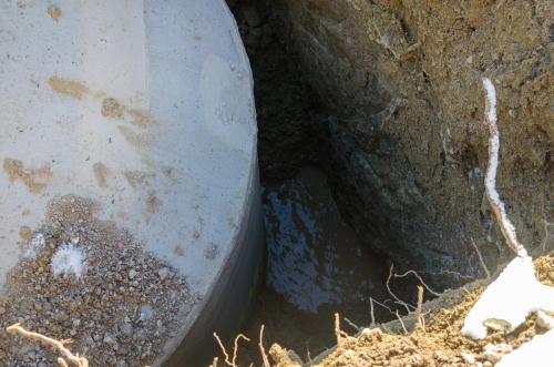 0039-112286-2022.01.14-10 02 09-NIKON-D5100