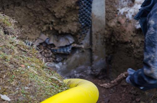 0065-112312-2022.01.17-12 00 45-NIKON-D5100