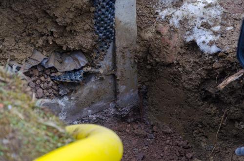 0066-112313-2022.01.17-12 00 46-NIKON-D5100