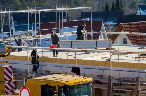 0112-112600-2022.01.26-14 21 53-NIKON-D5100