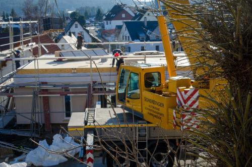 0113-112601-2022.01.26-14 22 17-NIKON-D5100