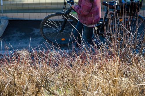 0190-112678-2022.01.26-15 12 25-NIKON-D5100