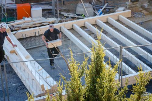 0207-112695-2022.01.26-15 43 27-NIKON-D5100