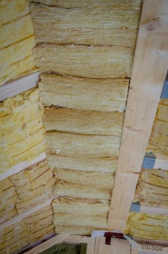 0047-112916-2022.03.06-12 55 25-NIKON-D5100