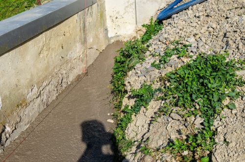 002-116824-2023.06.10-07.52.10-NIKON-D5100 18.0-105.0-mm-f-3.5-5.6