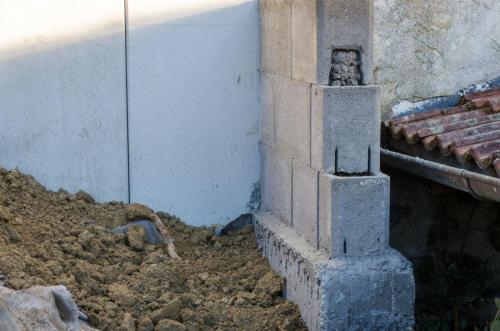 0010-111952-2021.11.19-09 56 26-NIKON-D5100