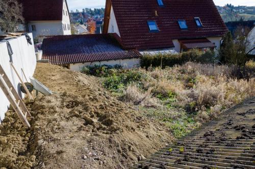 0019-111961-2021.11.19-12 52 41-NIKON-D5100