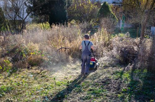 0021-111963-2021.11.19-15 11 23-NIKON-D5100