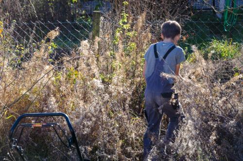 0025-111967-2021.11.19-15 11 34-NIKON-D5100