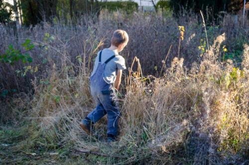 0045-111987-2021.11.19-16 22 29-NIKON-D5100